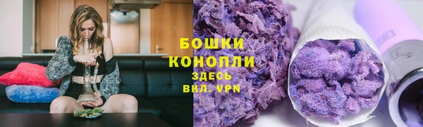 крисы Белокуриха
