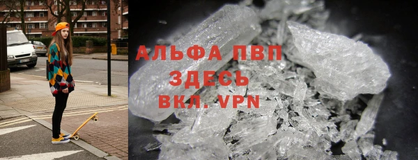крисы Белокуриха