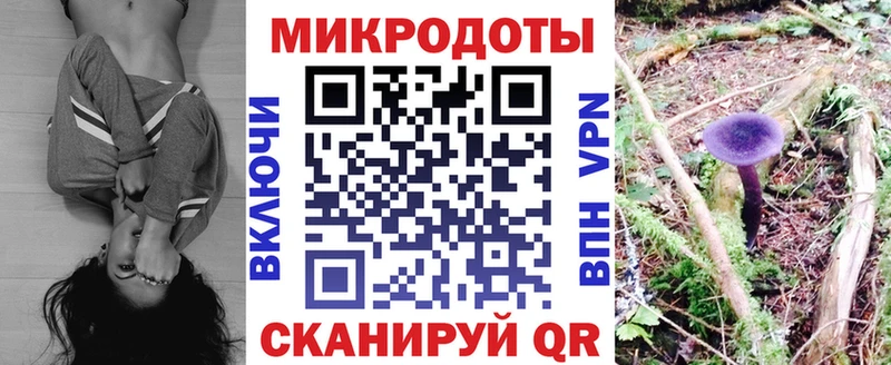 Галлюциногенные грибы GOLDEN TEACHER  Купить закладки  Балабаново 